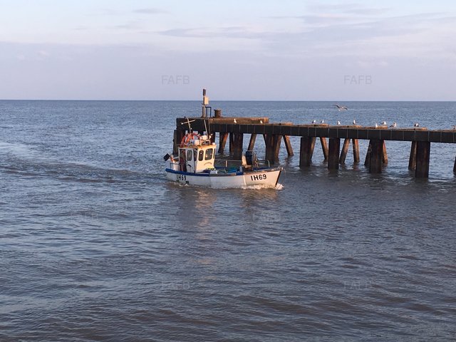 Large picture for advert 105576