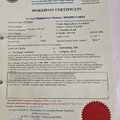 Extra picture for advert 129026